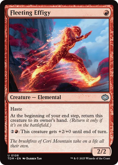 Fleeting Effigy